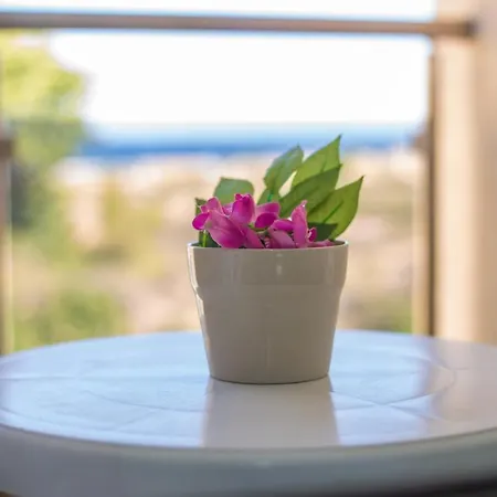 Hotel Amfibia Complex Sunny Beach